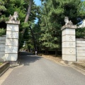 実際訪問したユーザーが直接撮影して投稿した豪徳寺寺豪徳寺の写真