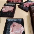 実際訪問したユーザーが直接撮影して投稿した新町焼鳥チキンハウスの写真