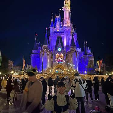 東京ディズニーランドのundefinedに実際訪問訪問したユーザーunknownさんが新しく投稿した新着口コミの写真