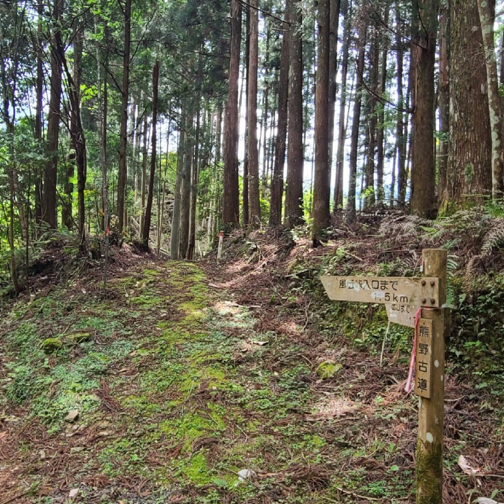 実際訪問したユーザーが直接撮影して投稿した紀和町矢ノ川ウォーキング / トレッキングコース本宮道1登り口(東側)の写真