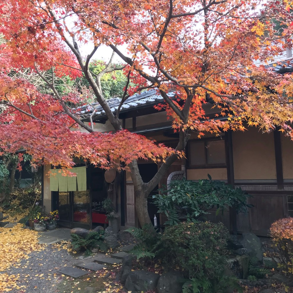 実際訪問したユーザーが直接撮影して投稿した五ケ庄自然食 / 薬膳銀杏庵の写真