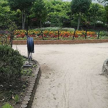 実際訪問したユーザーが直接撮影して投稿した上田中町公園上田公園の写真