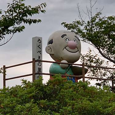 実際訪問したユーザーが直接撮影して投稿した深江町丁公園ふかえ桜パークの写真