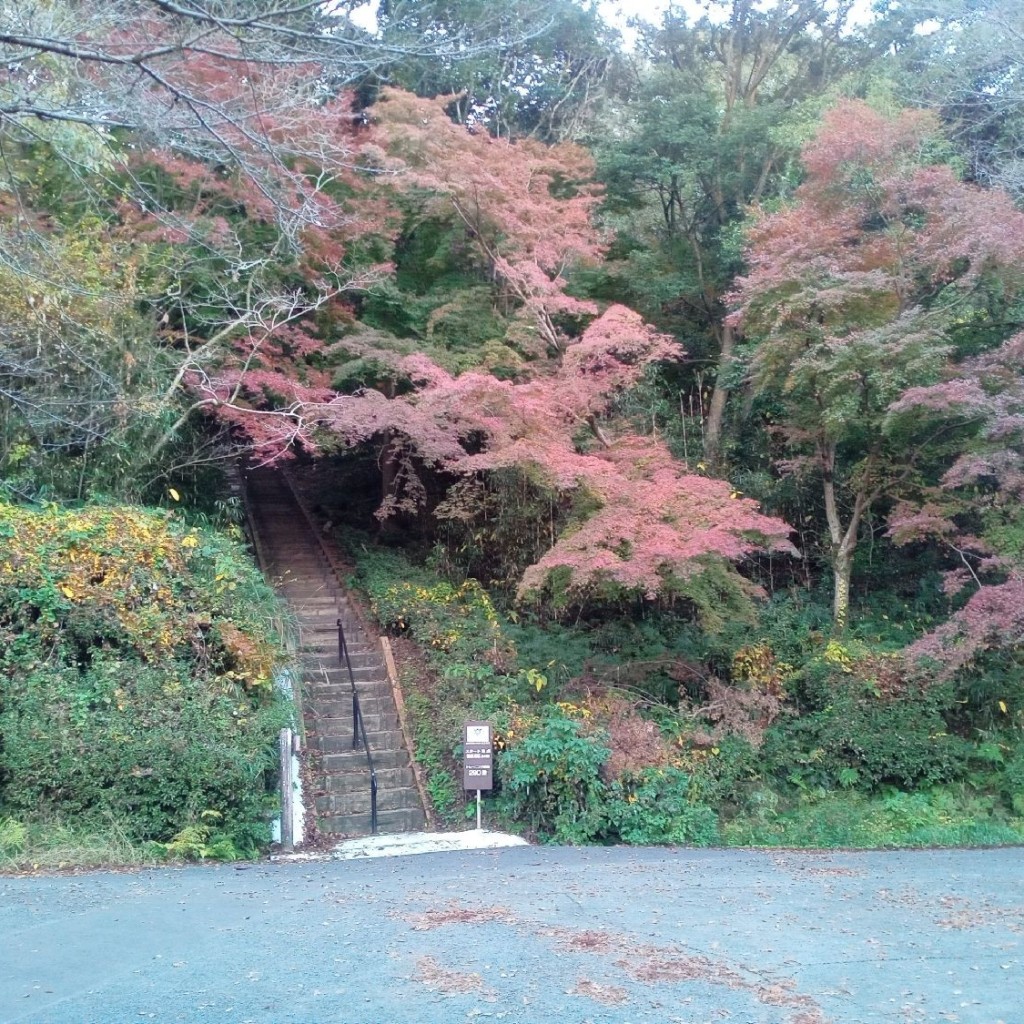 実際訪問したユーザーが直接撮影して投稿した村田町公園朝日山公園の写真