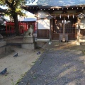 実際訪問したユーザーが直接撮影して投稿した今津上野町神社上野神社の写真