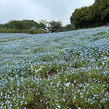 国営讃岐まんのう公園のundefinedに実際訪問訪問したユーザーunknownさんが新しく投稿した新着口コミの写真