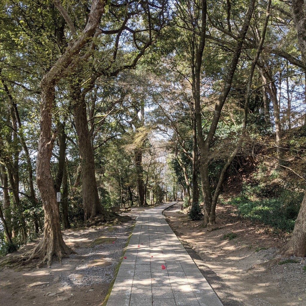 実際訪問したユーザーが直接撮影して投稿した公園亀山公園の写真