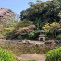 実際訪問したユーザーが直接撮影して投稿した紅葉ケ丘公園掃部山公園の写真