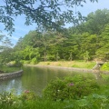 実際訪問したユーザーが直接撮影して投稿した御山町公園悠久山公園の写真