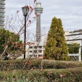 実際訪問したユーザーが直接撮影して投稿した山手町公園アメリカ山公園の写真