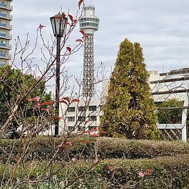 実際訪問したユーザーが直接撮影して投稿した山手町公園アメリカ山公園の写真