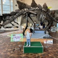 実際訪問したユーザーが直接撮影して投稿した博物館岐阜県博物館の写真