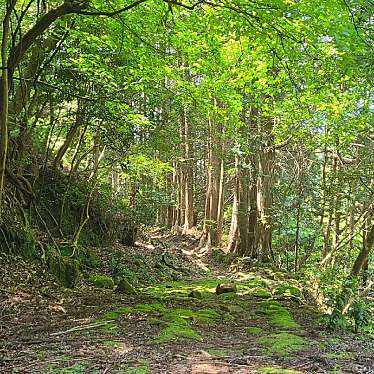 実際訪問したユーザーが直接撮影して投稿した大泊町自然名所熊野古道・大吹峠の写真