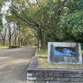 実際訪問したユーザーが直接撮影して投稿した平和公園公園平和公園の写真