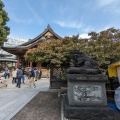 実際訪問したユーザーが直接撮影して投稿した湯島神社湯島天神の写真