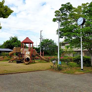 実際訪問したユーザーが直接撮影して投稿した大平台公園西岸もくれん公園の写真