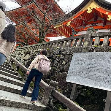 清水寺 三重塔のundefinedに実際訪問訪問したユーザーunknownさんが新しく投稿した新着口コミの写真