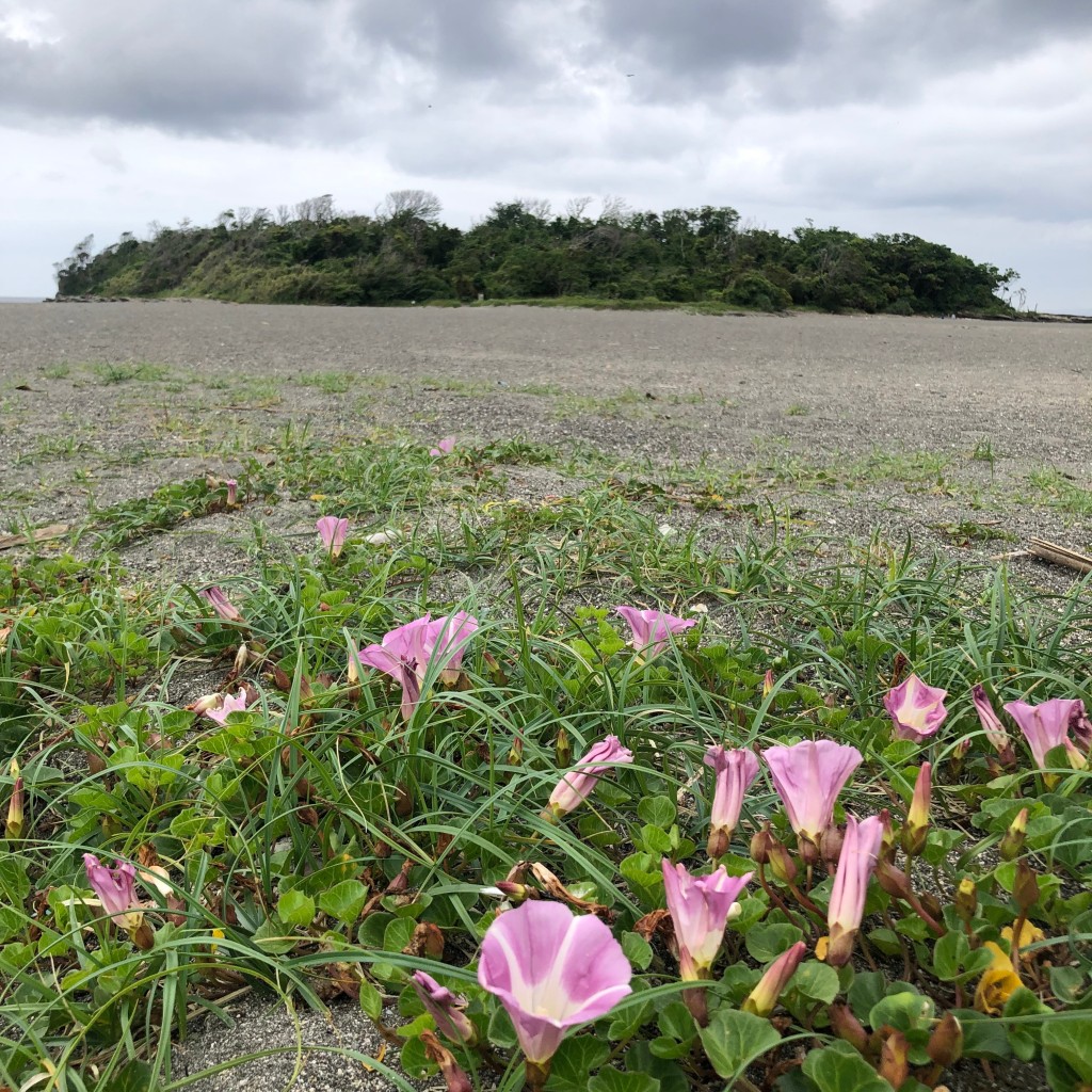 ukicyaさんが投稿した富士見海水浴場 / 海浜のお店沖ノ島海水浴場/おきのしまかいすいよくじょうの写真