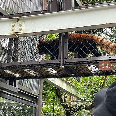 熊本市動植物園のundefinedに実際訪問訪問したユーザーunknownさんが新しく投稿した新着口コミの写真