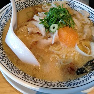 実際訪問したユーザーが直接撮影して投稿した緑ラーメン専門店丸源ラーメン 一宮バイパス店の写真