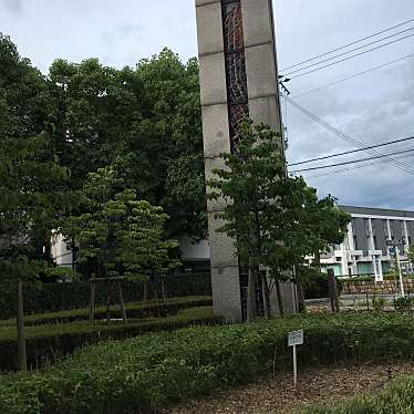 ぶどううり・くすこさんが投稿した七松町公園のお店七松緑地/シチマツリョクチの写真