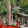 実際訪問したユーザーが直接撮影して投稿した嵯峨小倉山田淵山町神社御髪神社の写真