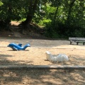 実際訪問したユーザーが直接撮影して投稿した津雲台公園津雲公園の写真