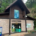 実際訪問したユーザーが直接撮影して投稿した向山水族館 / アクアリウム高千穂峡 淡水魚水族館の写真