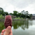 実際訪問したユーザーが直接撮影して投稿した下御門町焼き芋 / 芋スイーツ焼き芋専門店 維新蔵 ならまち店の写真