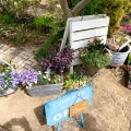 実際訪問したユーザーが直接撮影して投稿したつばさが丘西カフェCafe garden Ekocaの写真