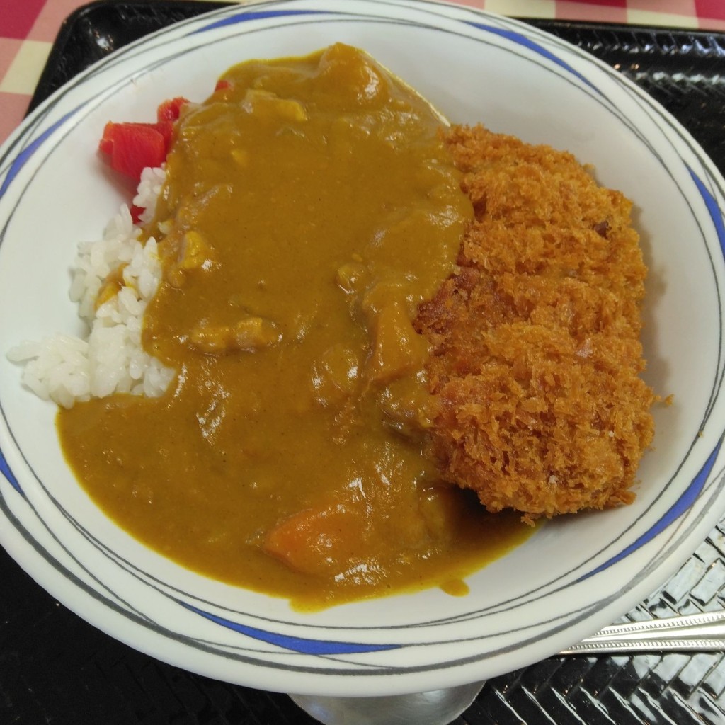 ユーザーが投稿したカツカレーの写真 - 実際訪問したユーザーが直接撮影して投稿した登戸定食屋レストランたまの写真