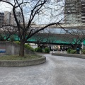 実際訪問したユーザーが直接撮影して投稿した佃公園佃三丁目児童遊園の写真