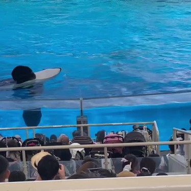 名古屋港水族館のundefinedに実際訪問訪問したユーザーunknownさんが新しく投稿した新着口コミの写真