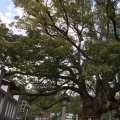 実際訪問したユーザーが直接撮影して投稿した大麻町板東神社大麻比古神社の写真