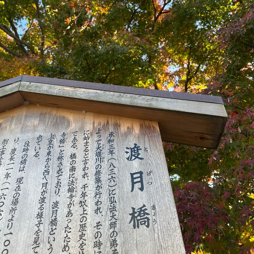 ただの新米社会人-旅行大好き-さんが投稿した嵯峨天龍寺芒ノ馬場町橋のお店渡月橋/トゲツキョウの写真