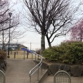 実際訪問したユーザーが直接撮影して投稿した徳丸公園板橋区立紅梅公園の写真