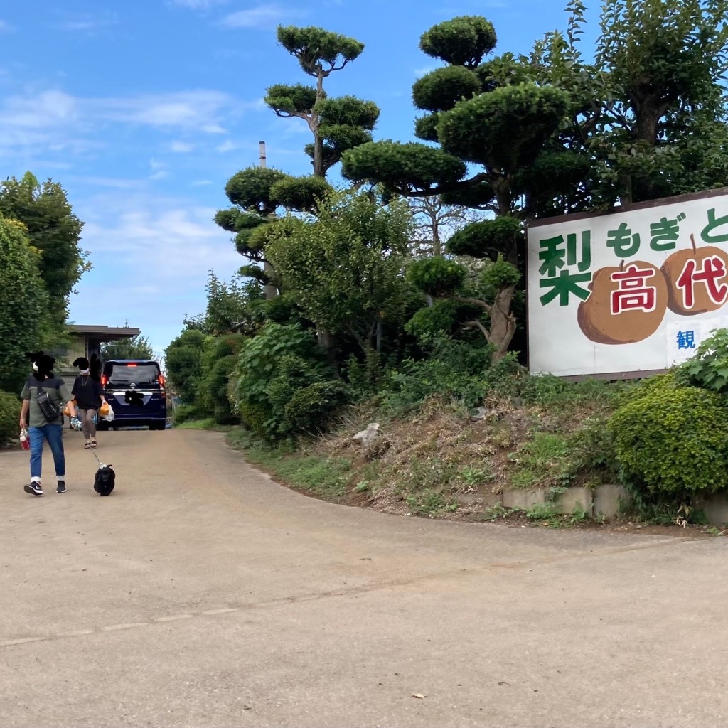 実際訪問したユーザーが直接撮影して投稿した高塚新田なし狩り高代園の写真