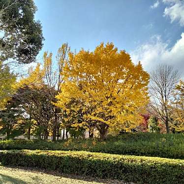 実際訪問したユーザーが直接撮影して投稿した柏の葉公園柏の葉第1水辺公園の写真