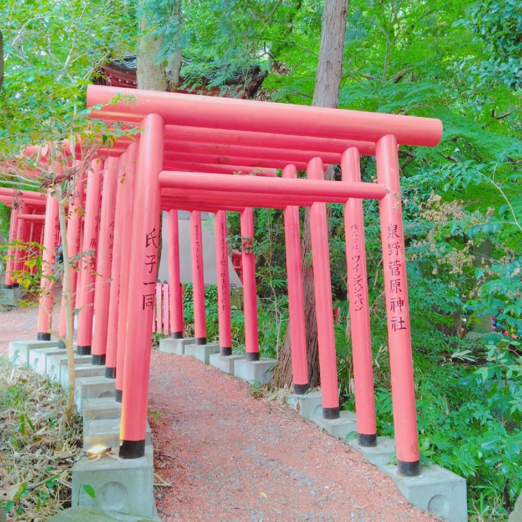 Mrsエセグルメさんが投稿した本多町神社のお店石浦神社/イシウラジンジャの写真