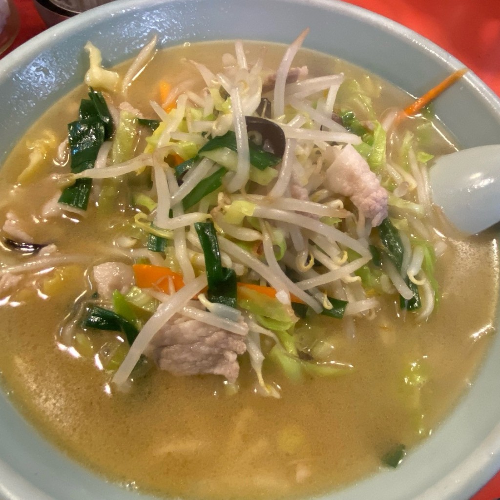 ユーザーが投稿した肉タンメンの写真 - 実際訪問したユーザーが直接撮影して投稿した中央中華料理ミン亭の写真