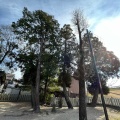 実際訪問したユーザーが直接撮影して投稿した中味鋺神社西八龍社の写真