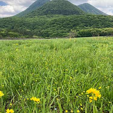 実際訪問したユーザーが直接撮影して投稿した田野山 / 峠タデ原湿原の写真