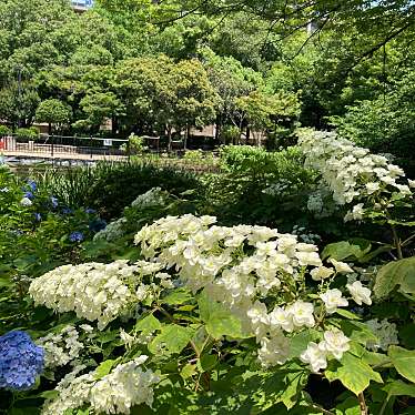 実際訪問したユーザーが直接撮影して投稿した元浜町公園元浜緑地の写真