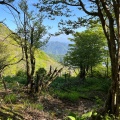 実際訪問したユーザーが直接撮影して投稿した山 / 峠藤原岳の写真