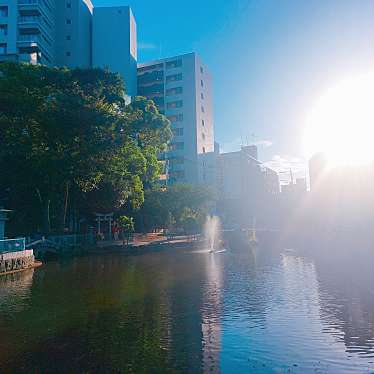 実際訪問したユーザーが直接撮影して投稿した住吉湖沼 / 池天竜池(ひょうたん池)の写真