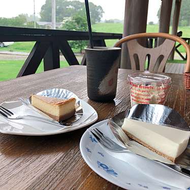 実際訪問したユーザーが直接撮影して投稿した豊原丙ケーキチーズケーキ工房MANIWAFARMの写真