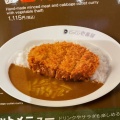 ポークカレー - 実際訪問したユーザーが直接撮影して投稿した鷺山カレーCoCo壱番屋 岐阜メモリアルセンター前店の写真のメニュー情報