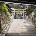 実際訪問したユーザーが直接撮影して投稿した早崎町島竹生島の写真