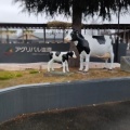 実際訪問したユーザーが直接撮影して投稿した関谷道の駅アグリパル塩原 農産物直売所の写真