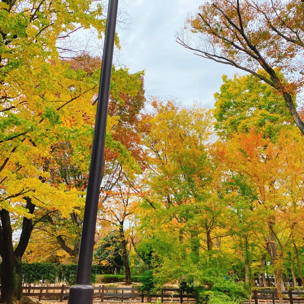 実際訪問したユーザーが直接撮影して投稿した池尻公園世田谷公園の写真